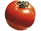 tomate